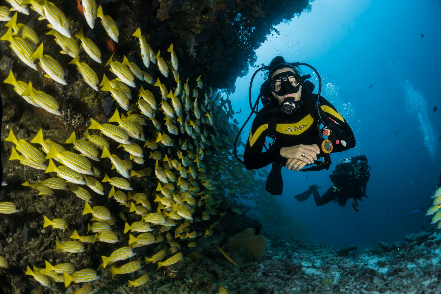 Taller de buceo