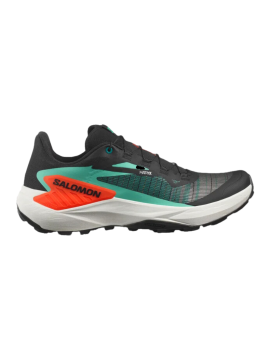 SALOMON GENESIS