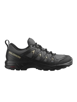 SALOMON X BRAZE GTX