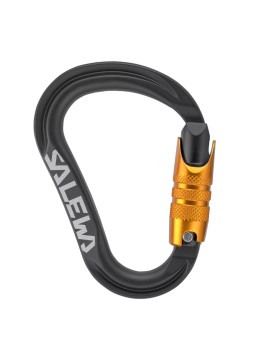 MOSQUETONES SALEWA ORTLES HMS C3