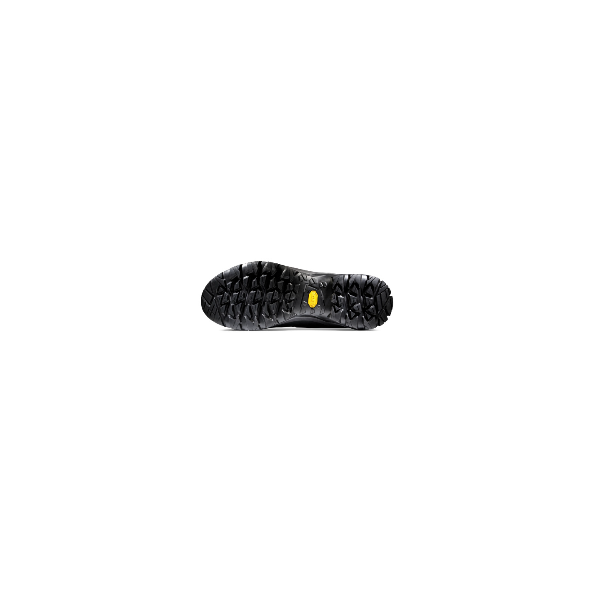 MAMMUT MERCURY IV MID GTX