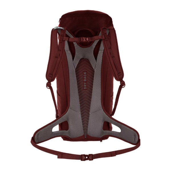 MOCHILA SALEWA ALP MATE 24 WS