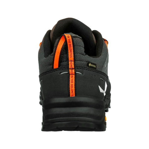 SALEWA ALP TRAINER 2 GTX