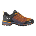 SALEWA MTN TRAINER LITE