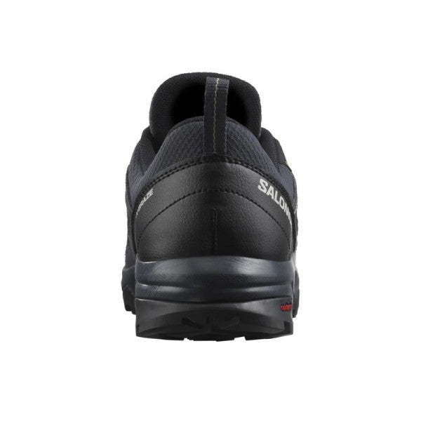 SALOMON X BRAZE GTX W