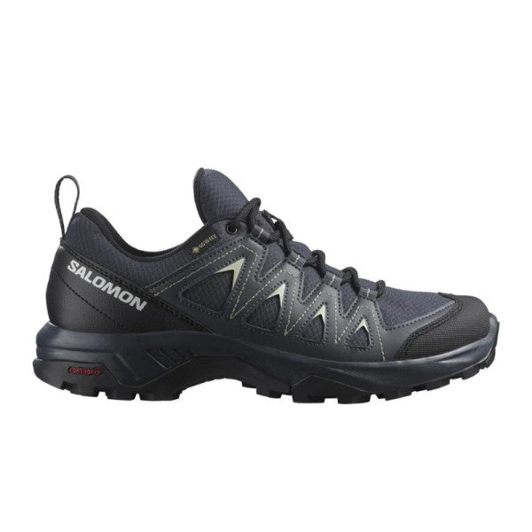 SALOMON X BRAZE GTX W
