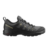 SALOMON X BRAZE GTX