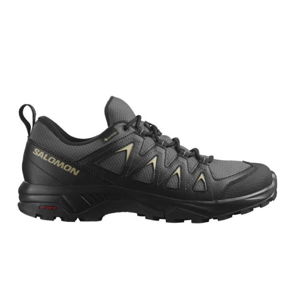 SALOMON X BRAZE GTX