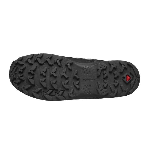 SALOMON X BRAZE GTX