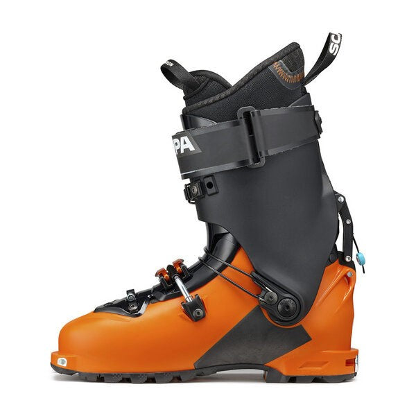 SCARPA MAESTRALE