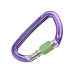 WILD COUNTRY SESSION SCREW GATE