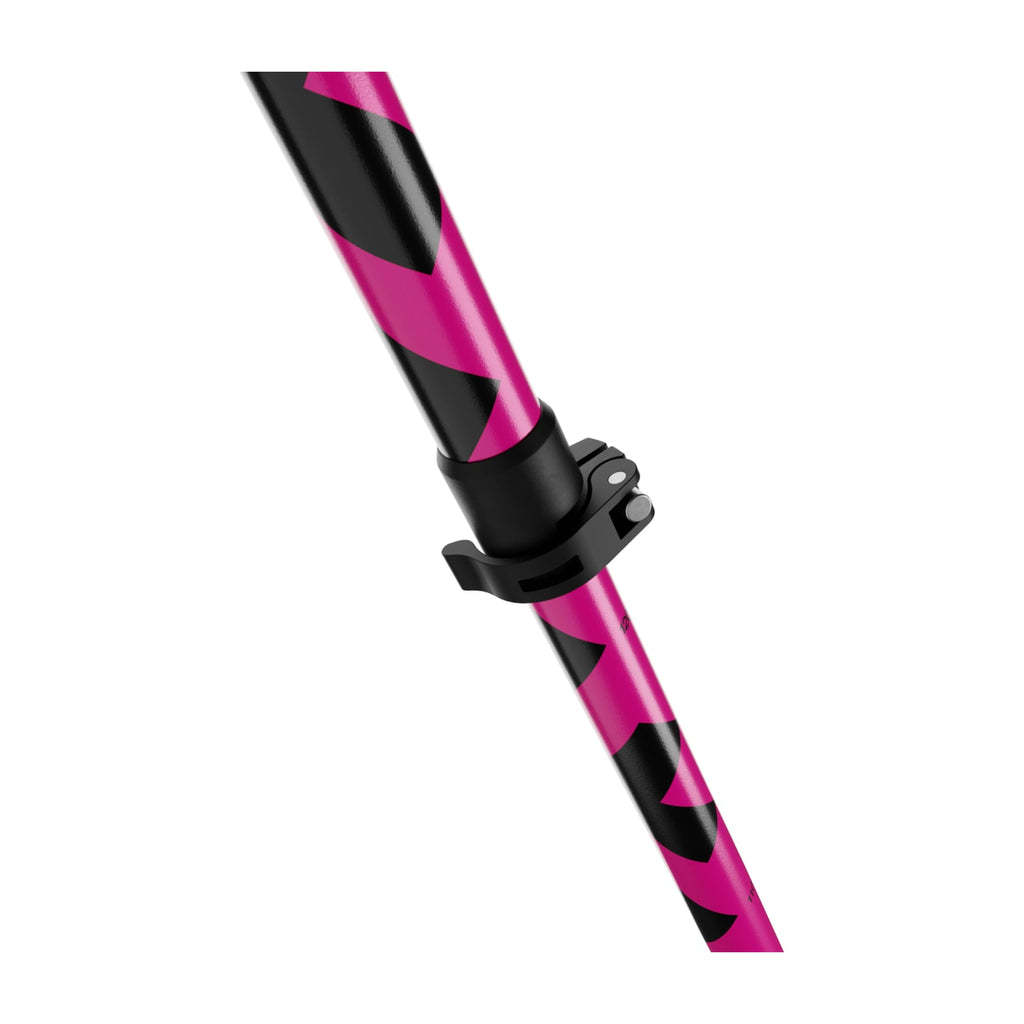 Black Crows Sector Poles