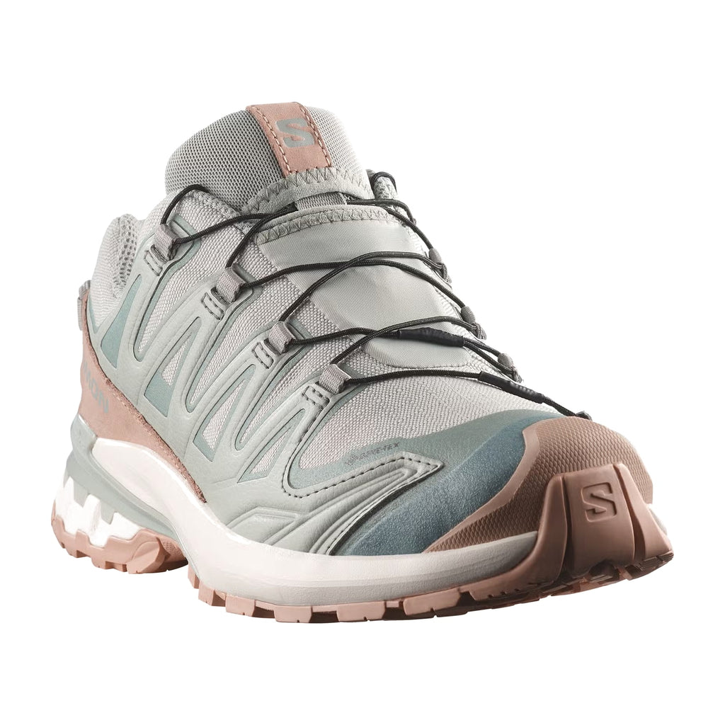 Salomon Xa Pro 3D V9 GTX Lifelong W