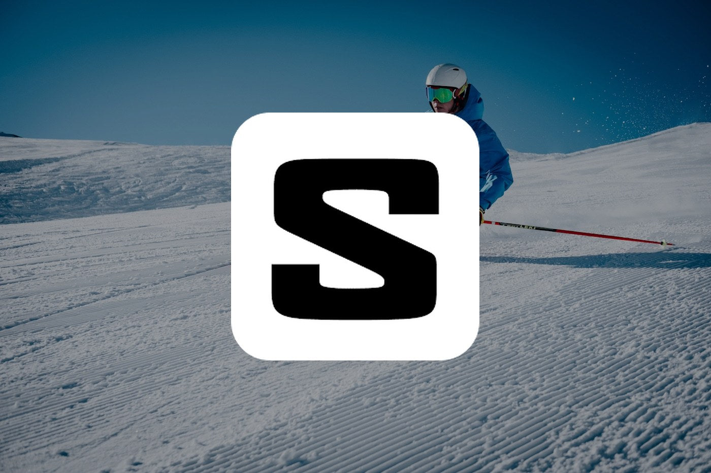 Salomon