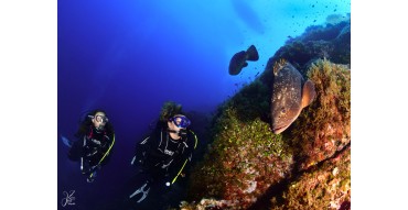 Submarinismo en otoño: los mejores destinos en España y qué llevar en tu maleta